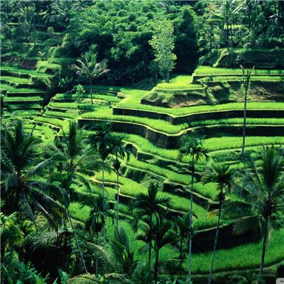 万博(ManBetx)下载手机版